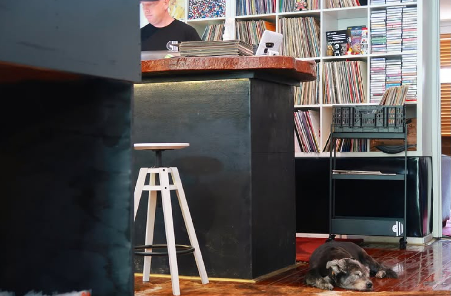 stool and dog