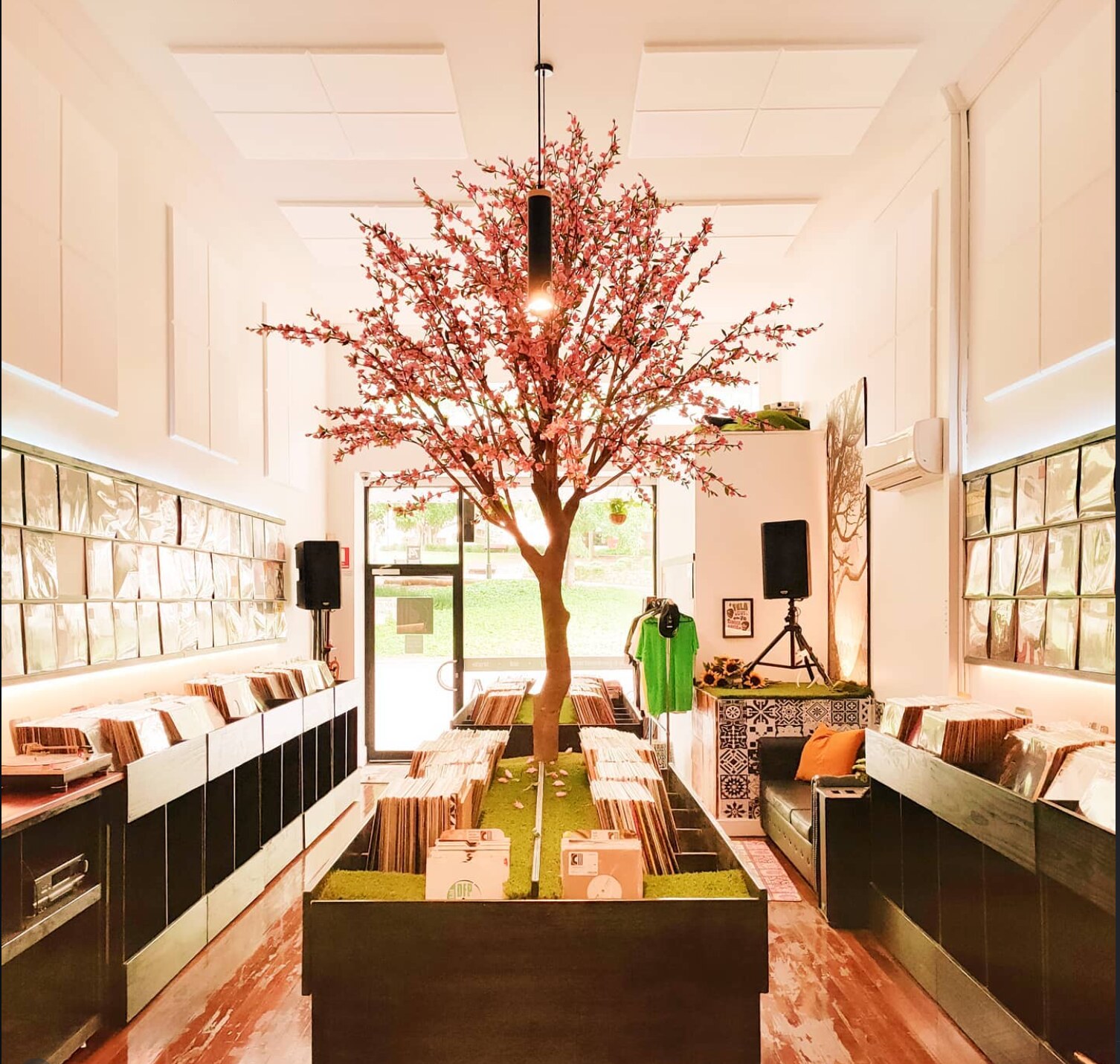 empty shop with blossom tree